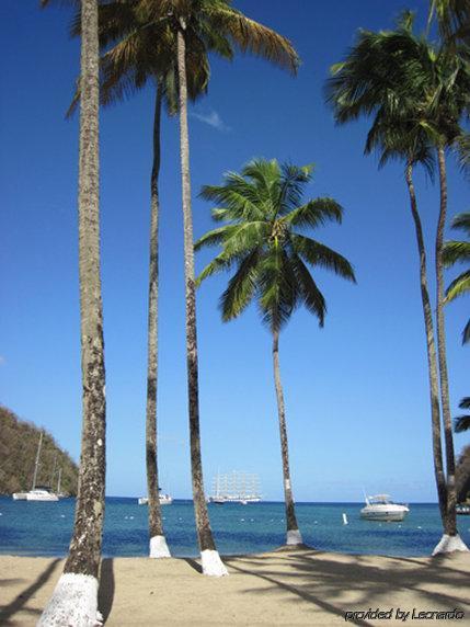 Hotel Oasis Marigot Exteriér fotografie